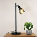 Oriel Lighting Alma Smoked Glass Task Lamp