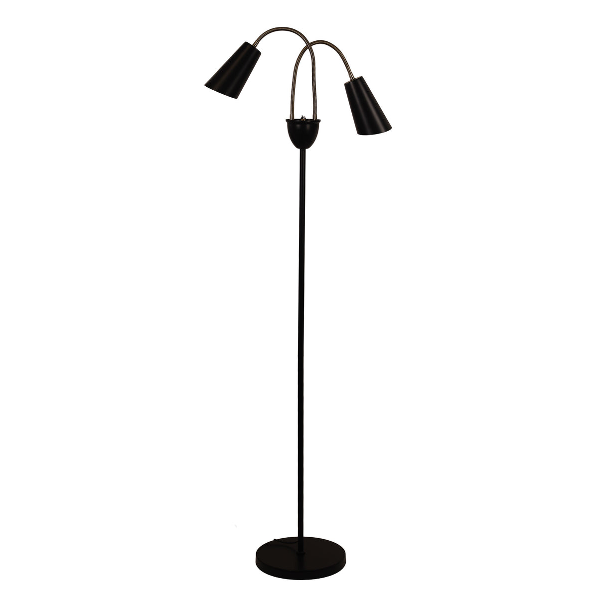 Oriel Lighting Walt Twin Flexible Neck Floor Lamp Black with Antique Brass