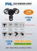 PHL4205 PIONEER 30W Twin Spotlight
